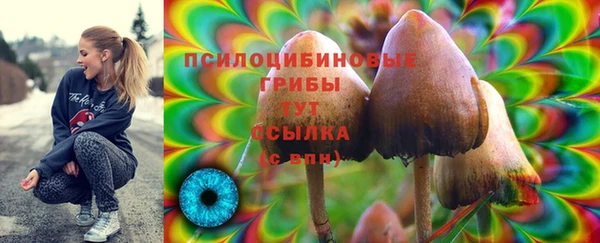 шишки Бронницы